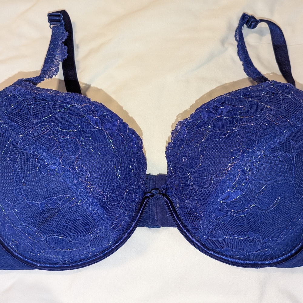 Elegant Blue Lace Bra